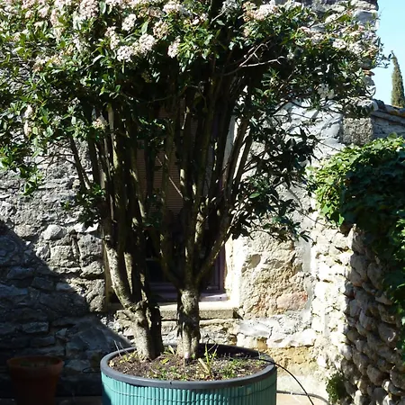 Mas Provencal Du 18ème Proche Uzes Casa vacanze *