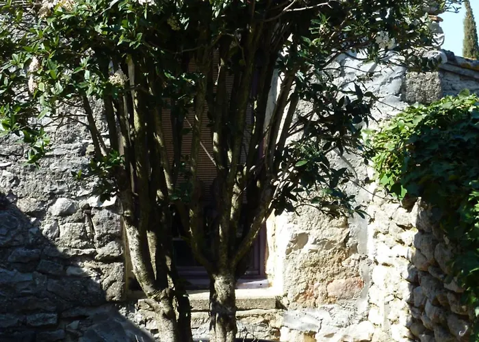 Mas Provencal Du 18eme Proche Uzes Semesterbostad *